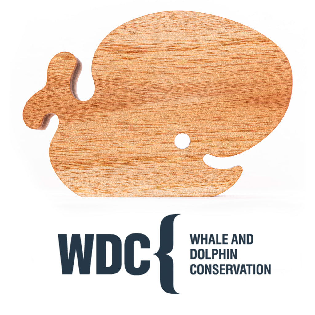 DEsign by Witt - WDC Walter edition